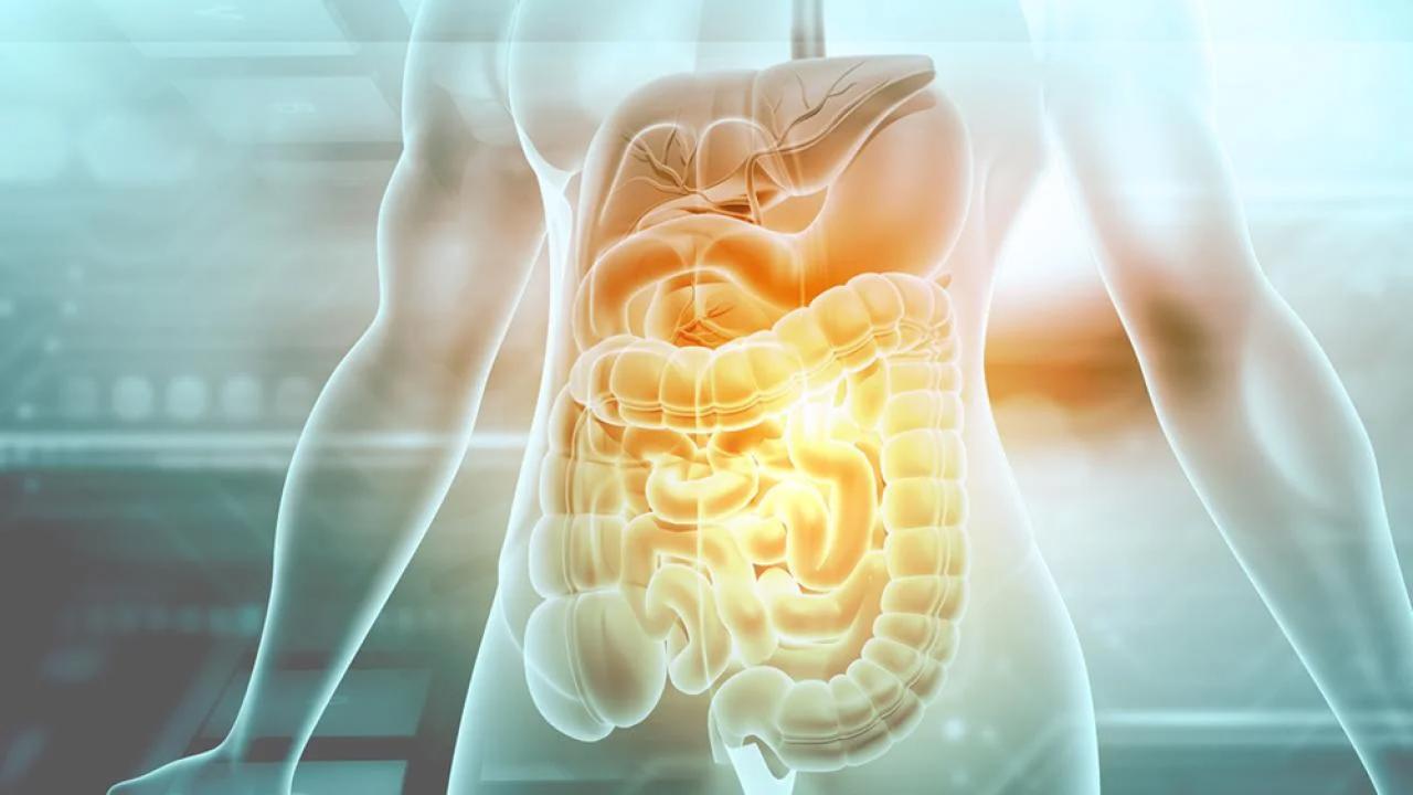 The Importance of Gut Health
