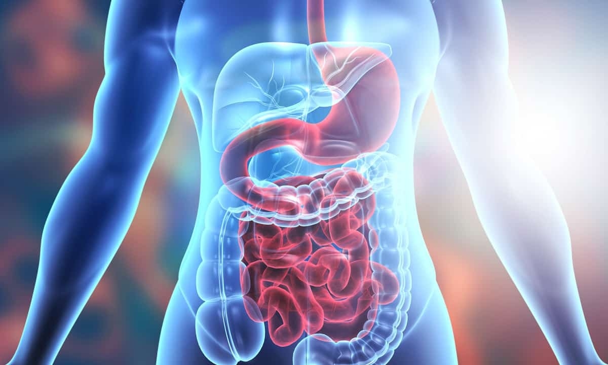 Maintaining Gut Health