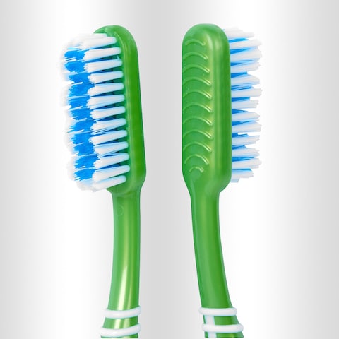 Bristles