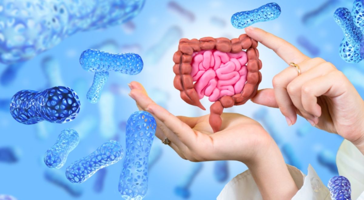 Revisiting the Gut, and Why it Matters