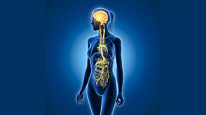 Dysautonomia, What is it and Why should you be Worried?